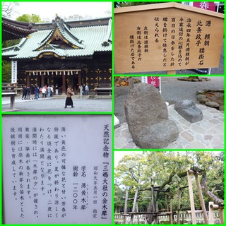 視察旅行 視察旅行