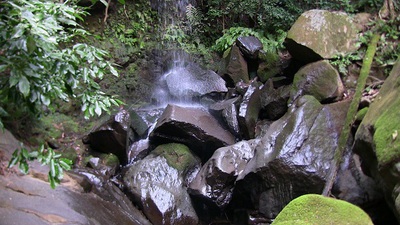 三島市観音の滝にて写真撮影