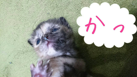 イタ子ちゃんすくすく成長中! イタ子ちゃんすくすく成長中!