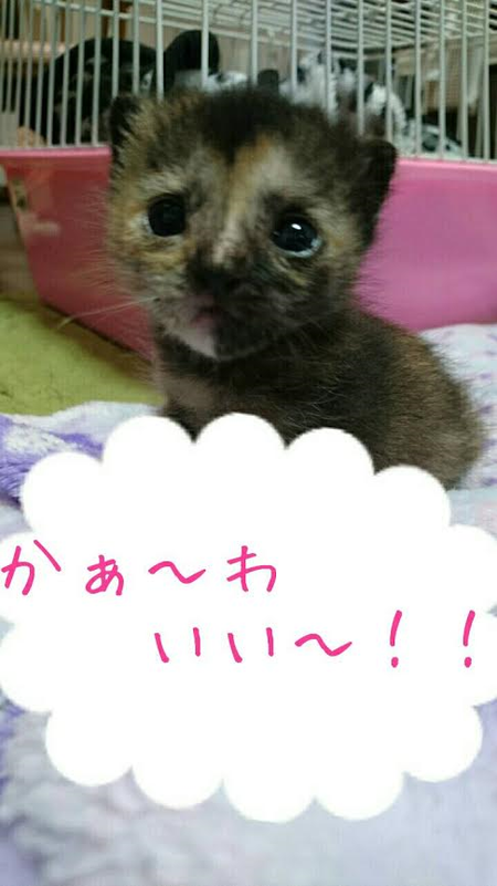 イタ子ちゃんすくすく成長中! イタ子ちゃんすくすく成長中!