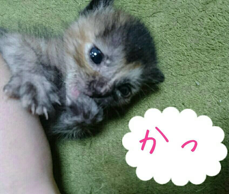 イタ子ちゃんすくすく成長中! イタ子ちゃんすくすく成長中!