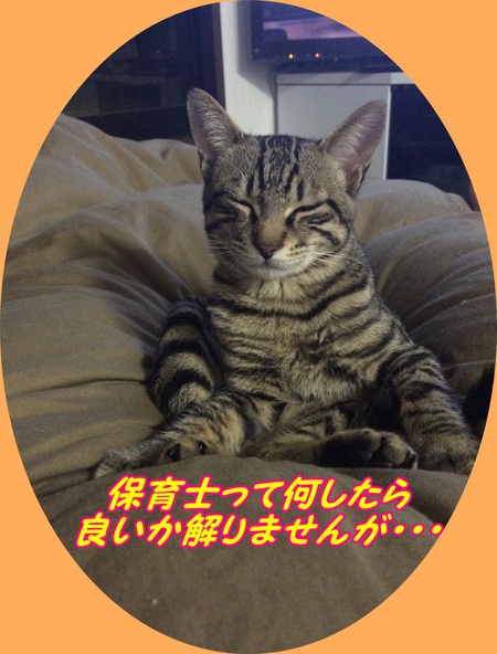 まちまち保育園 人事異動 まちまち保育園 人事異動
