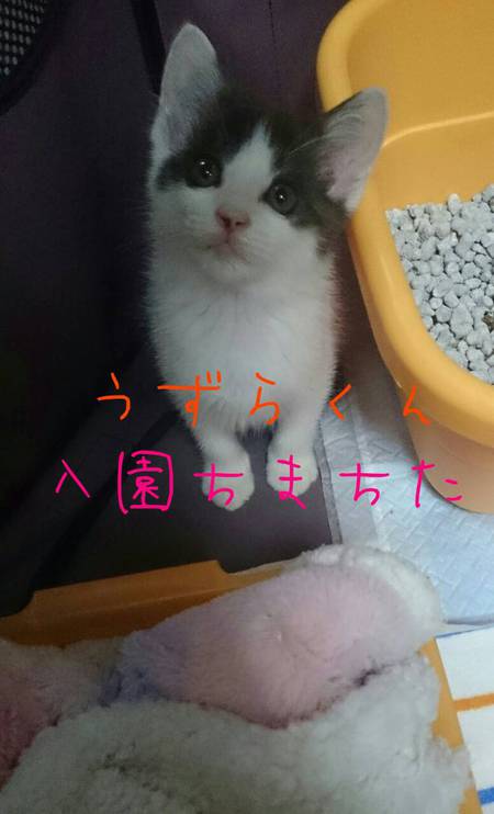 あっというまの卒園!!・・・そして・・・ あっというまの卒園!!・・・そして・・・
