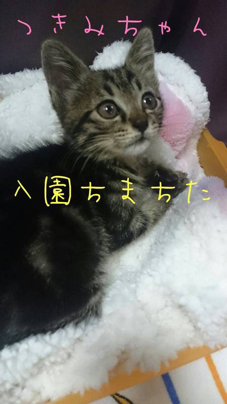 あっというまの卒園!!・・・そして・・・ あっというまの卒園!!・・・そして・・・