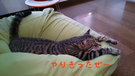 あっというまの卒園!!・・・そして・・・ あっというまの卒園!!・・・そして・・・