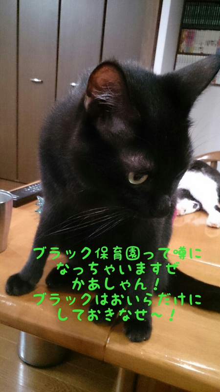あれれ・・・ あれれ・・・