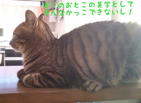 あれれ・・・ あれれ・・・