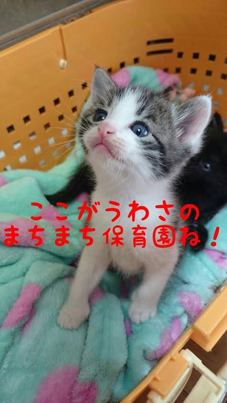 秋の第一弾‼ 秋の第一弾‼