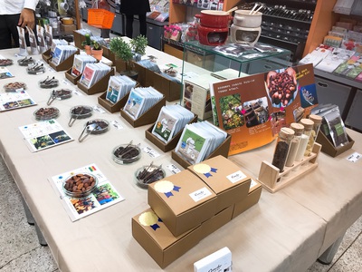 三保原屋本店 コンチェ チョコレート専門店 三保原屋本店 コンチェ チョコレート専門店