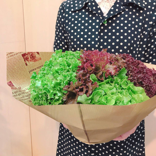 三保原屋本店 母の日ギフト レタスブーケ 三保原屋本店 母の日ギフト レタスブーケ