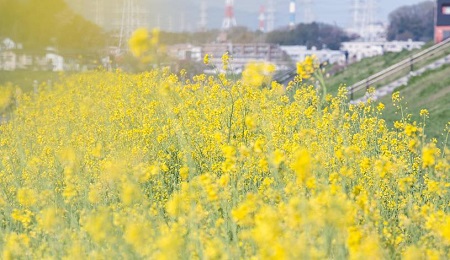 プラン提案 プラン提案
