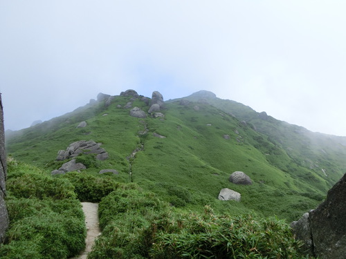 屋久島　宮之浦岳に登りました。前半