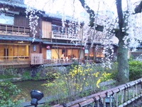 京都1日目