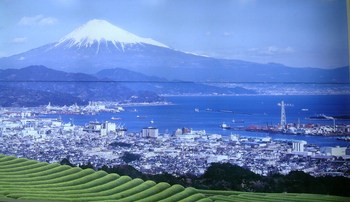 静岡、最大の資源を活かすまちづくり