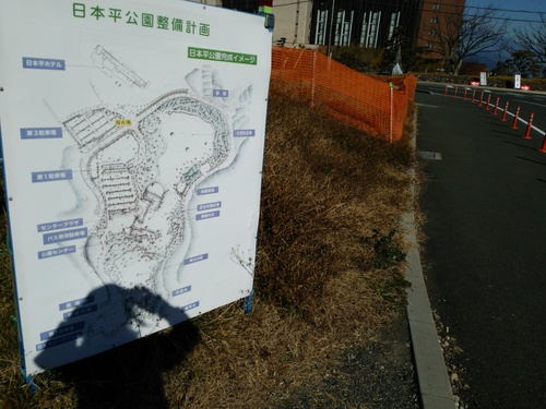 日本平山頂の梅の花 日本平山頂の梅の花