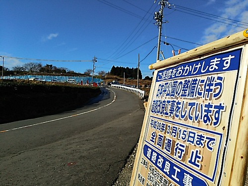 日本平山頂の梅の花 日本平山頂の梅の花