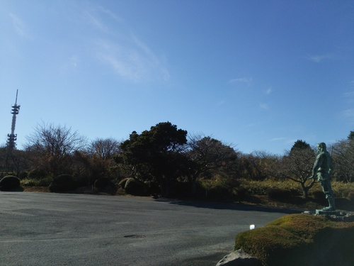 日本平山頂の梅の花 日本平山頂の梅の花