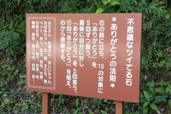 島田市のランチ、『カフェ&レストラン 夢の丘』