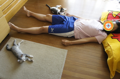 猫たちの日常 続き④