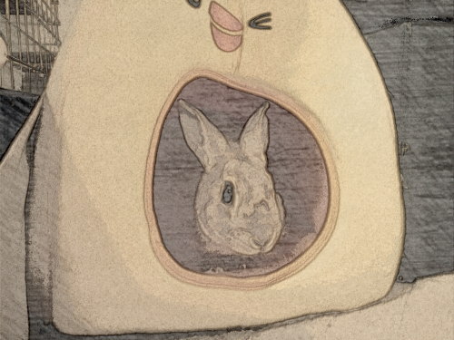 あけましておめでとうございます(*^-^*)