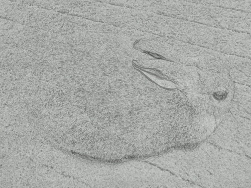 あけましておめでとうございます(*^-^*)