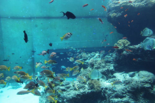 【2012.04】沖縄旅行 Part.2
