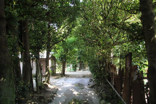 【2012.04】沖縄旅行 Part.2