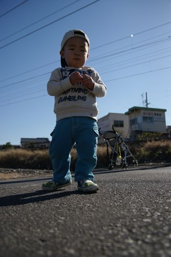 お散歩写真