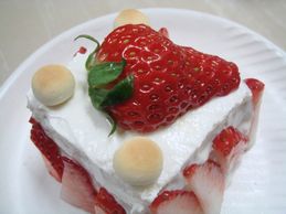 生後8ヶ月