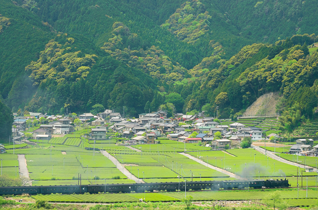 第2回 緑まぶしい かわね路をゆく 第2回 緑まぶしい かわね路をゆく