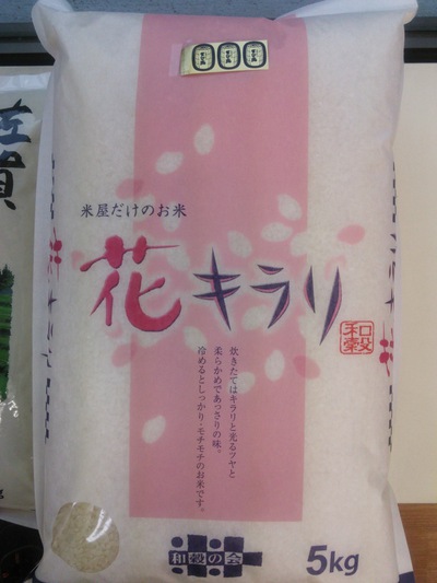 花キラリ