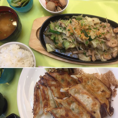 ホルモンキャベツ定食 静岡餃子8個定食 ホルモンキャベツ定食 静岡餃子8個定食
