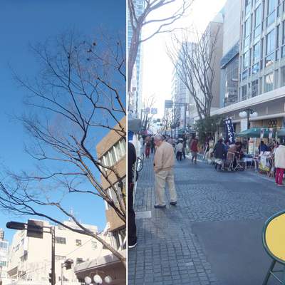 七間町青空市 七間町青空市