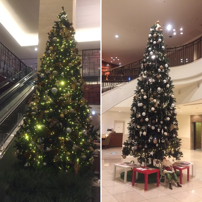 アソシア クリスマスツリー センチュリー クリスマスツリー アソシア クリスマスツリー センチュリー クリスマスツリー