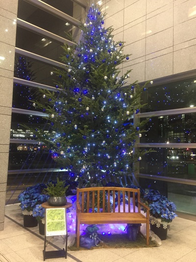 葵タワー クリスマスツリー 葵タワー クリスマスツリー