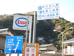 栃沢の大枝垂れ桜