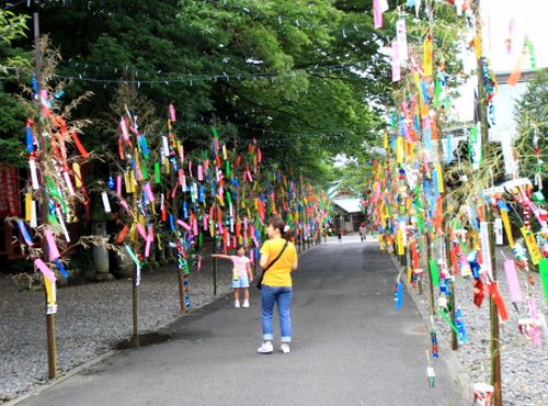 静岡浅間神社 『七夕まつり』
