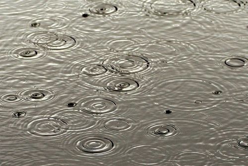 雨の日は10%OFFセール♪