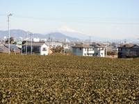 今日の富士山と世界遺産へ【1月26日】