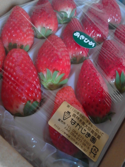 一粒、、、¥1000円の苺~!!! 一粒、、、¥1000円の苺~!!!