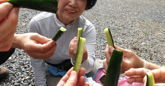 粟ヶ岳からおはよう! 粟ヶ岳からおはよう!