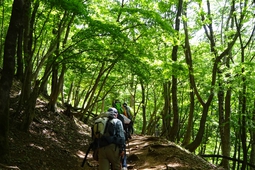 霊仙山(鈴鹿山脈) 霊仙山(鈴鹿山脈)