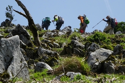 霊仙山(鈴鹿山脈) 霊仙山(鈴鹿山脈)