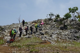 霊仙山(鈴鹿山脈) 霊仙山(鈴鹿山脈)