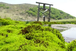 霊仙山(鈴鹿山脈) 霊仙山(鈴鹿山脈)