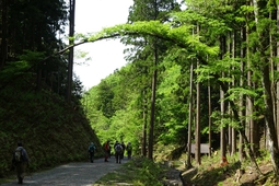霊仙山(鈴鹿山脈) 霊仙山(鈴鹿山脈)