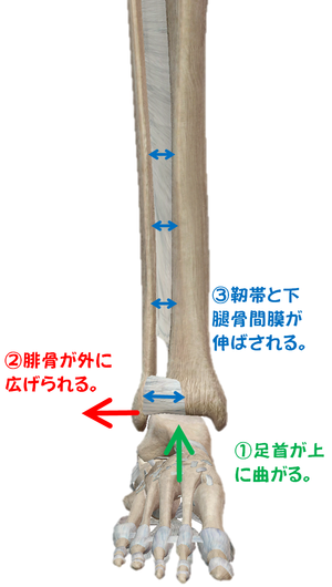 ランニングの着地方法その③