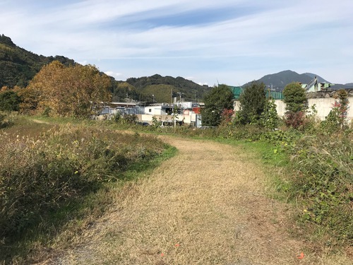 静岡市【麻機遊水地クロスカントリーコース】のご紹介 静岡市【麻機遊水地クロスカントリーコース】のご紹介