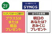 プラフェス☆本日より プラフェス☆本日より