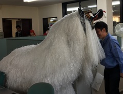 獅子舞に来ていただきました 獅子舞に来ていただきました